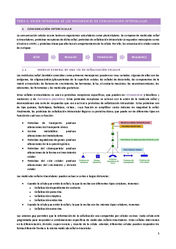 Miniatura del documento T3.pdf
