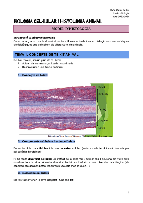 Miniatura del documento HISTOLOGIA-ANIMAL.pdf