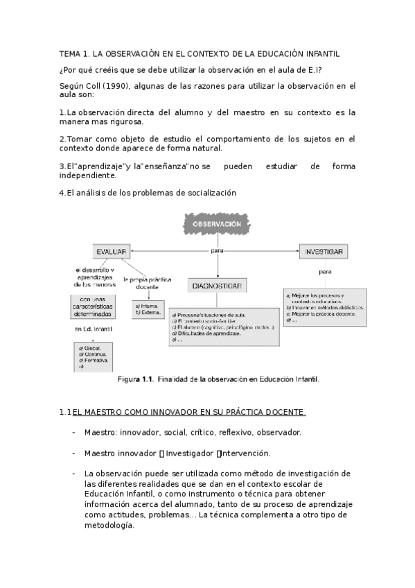 Miniatura del documento Apuntes-OBSEI.docx