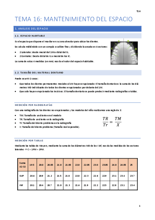 Miniatura del documento Tema-16.pdf