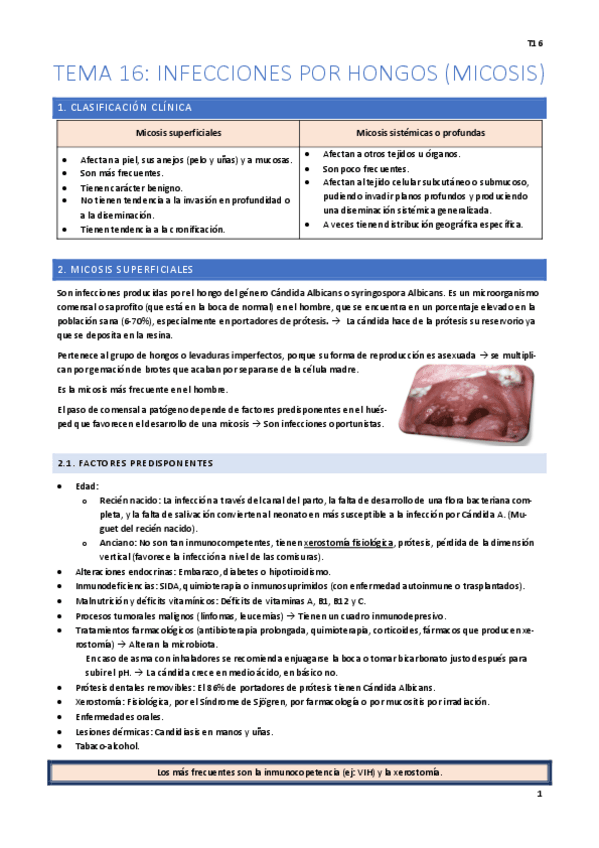 Miniatura del documento Tema-16.pdf