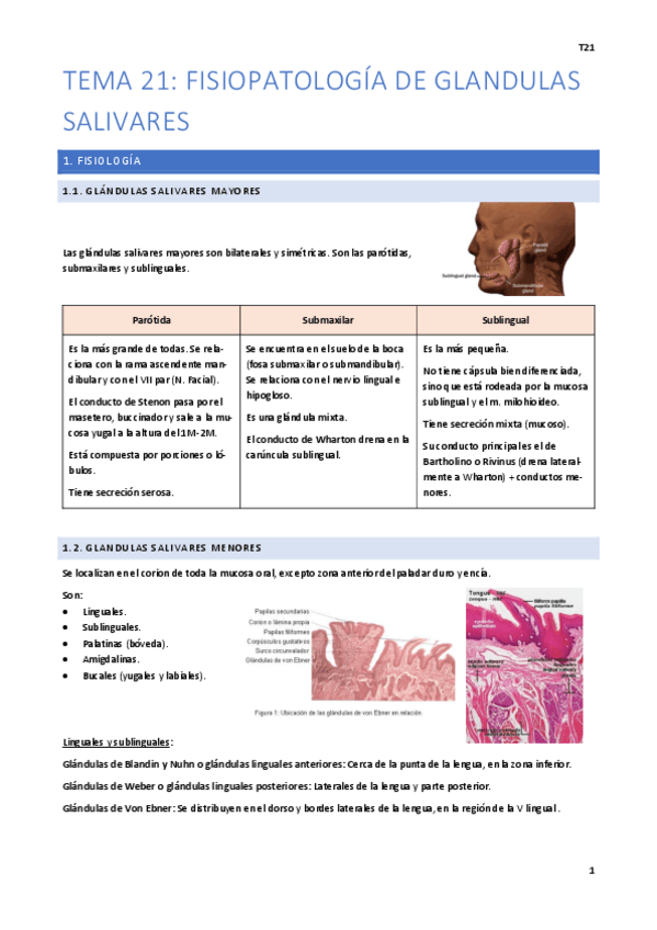 Miniatura del documento Tema-21.pdf