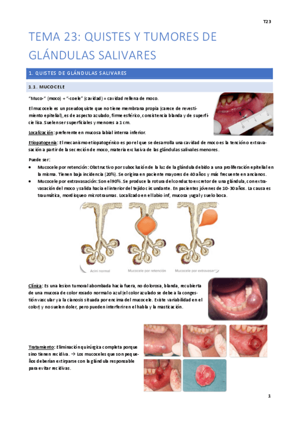 Miniatura del documento Tema-23.pdf