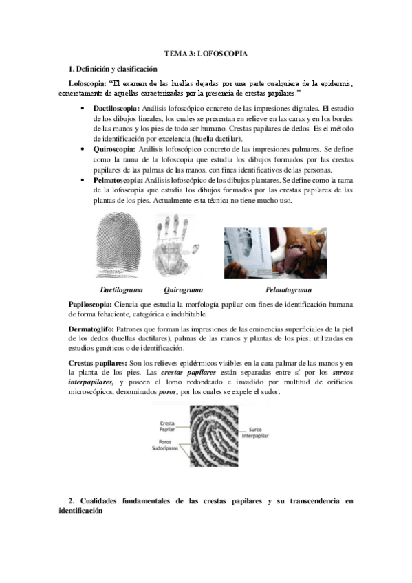 Miniatura del documento TEMA 3.pdf