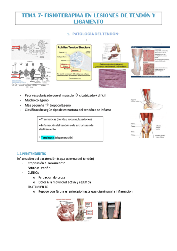 Miniatura del documento TEMA-7-EVA.pdf