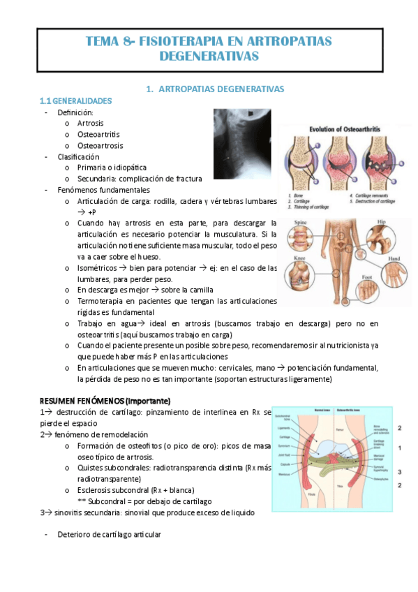 Miniatura del documento TEMA-8-EVA.pdf