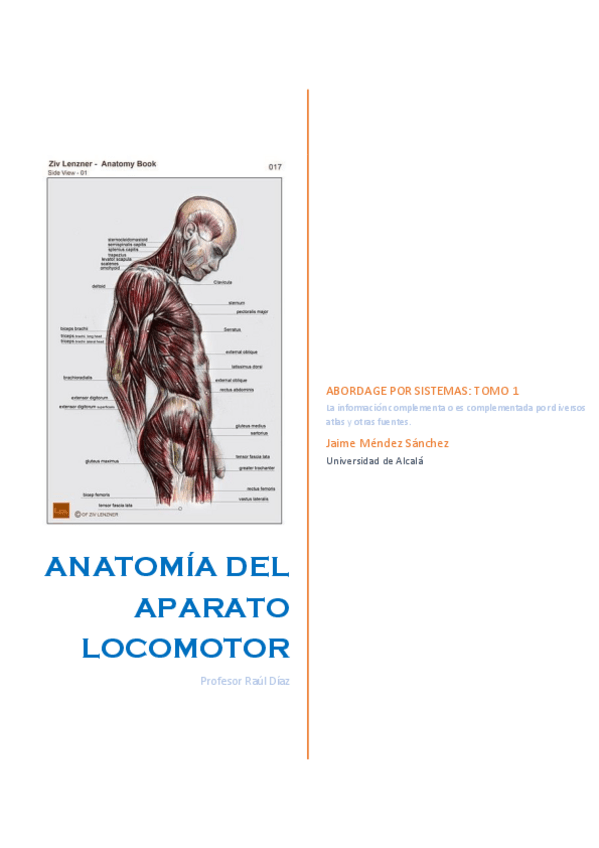 Miniatura del documento Aparato-locomotor-completo.pdf