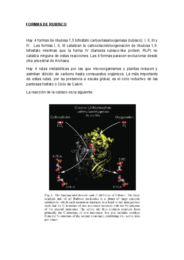 Miniatura del documento Cuestionario resuelto.pdf
