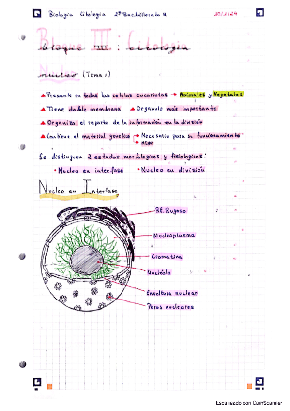 Miniatura del documento Bloque-III-Citologia.pdf