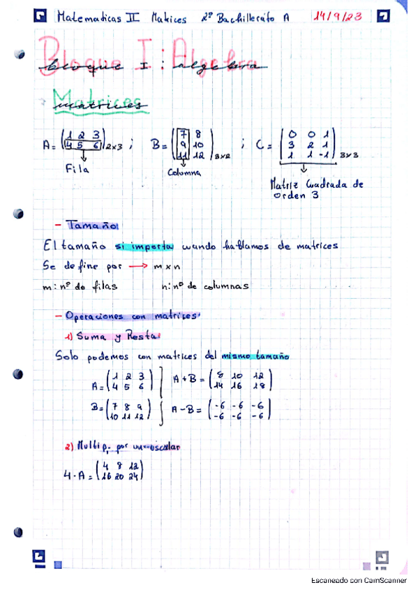 Miniatura del documento Bloque-I-Algebra.pdf