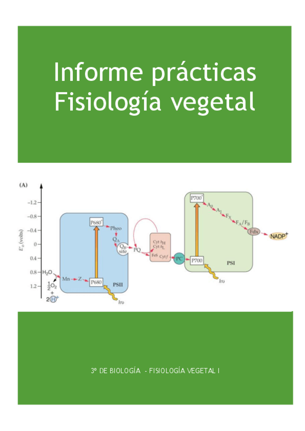 Miniatura del documento informepracticas.pdf