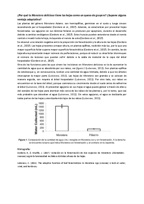Miniatura del documento pregunta-Monstera-deliciosa.pdf