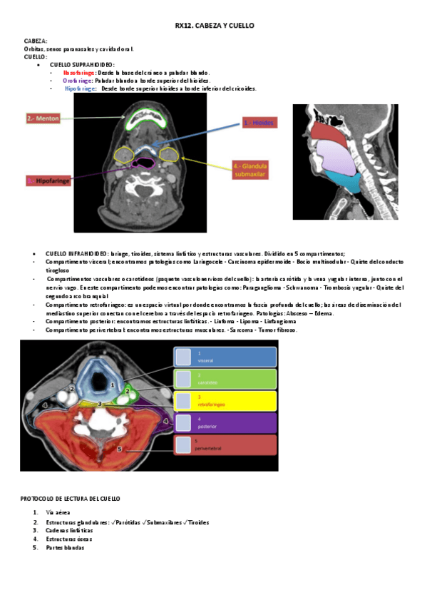 Miniatura del documento 7.-RX.-CYC.pdf