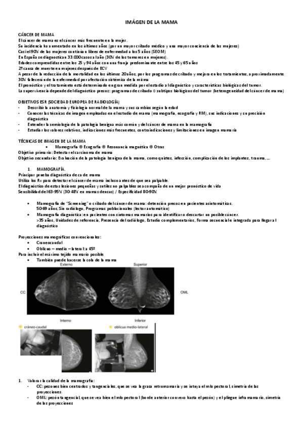 Miniatura del documento 8.-RX.-MAMA.pdf
