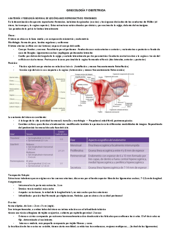 Miniatura del documento 10.-RX.-GINECOLOGIA-Y-OBSTETRICIA.pdf