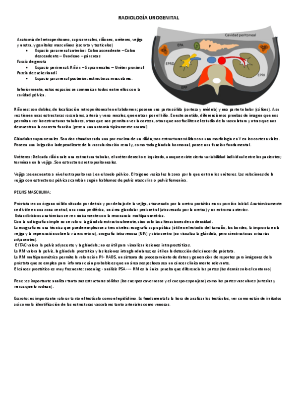 Miniatura del documento 11.-RX.-UROGENITAL.pdf