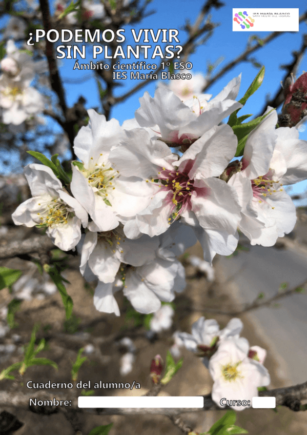 Miniatura del documento UNIDAD-04-COMPLETA.pdf