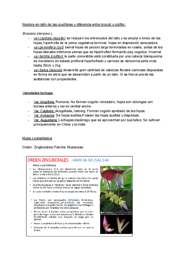 Miniatura del documento Tercer-parcial-preguntas-resueltas.pdf