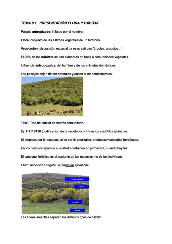 Miniatura del documento Tema-0.1.-Flora.pdf