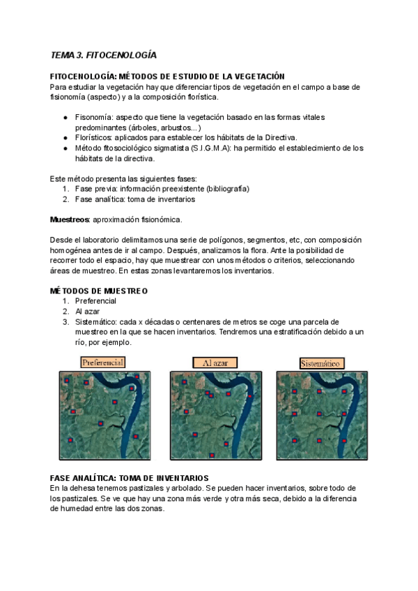 Miniatura del documento Tema-3.-Flora.pdf