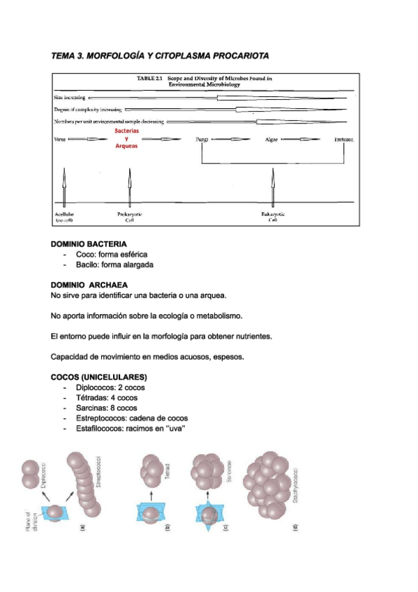 Miniatura del documento Tema-3.-Microbiologia.pdf
