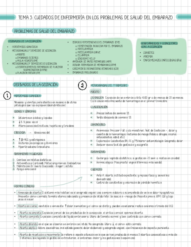 Miniatura del documento T3-PROBLEMAS-SALUD-EMBARAZO.pdf
