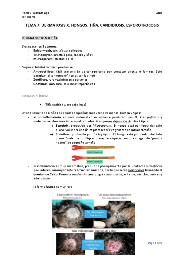 Miniatura del documento TEMA-7.-DERMATOFITOSIS.-HOMB.pdf