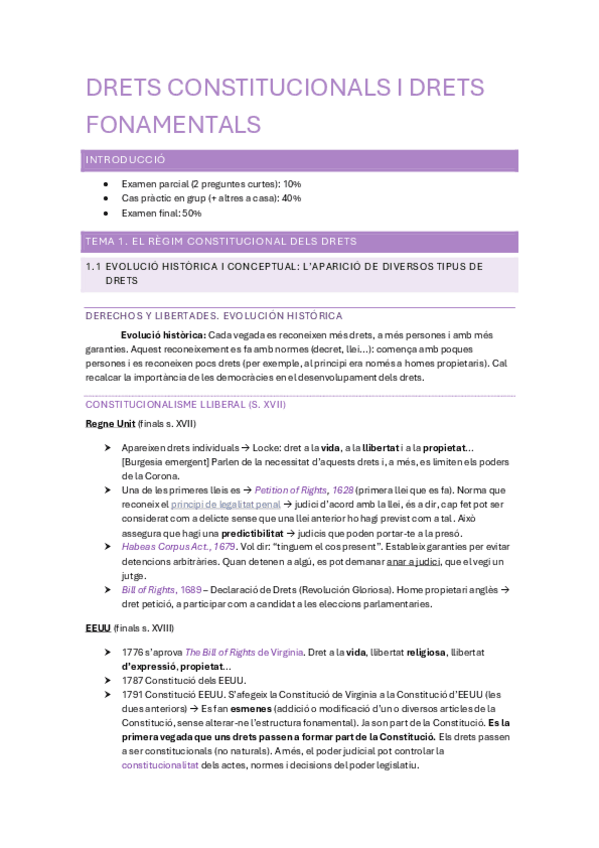 Miniatura del documento Drets-Constitucionals-i-Drets-Fonamentals.pdf