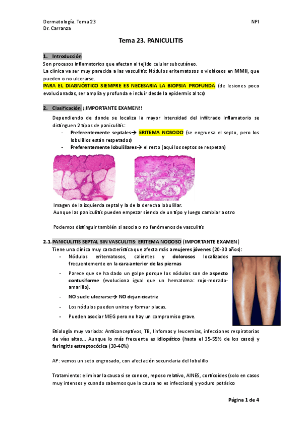 Miniatura del documento TEMA-23.-PANICULITIS.pdf