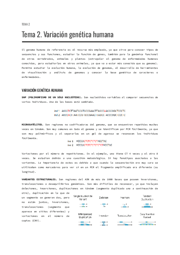 Miniatura del documento Tema-2.-Variacion-genetica-humana.pdf