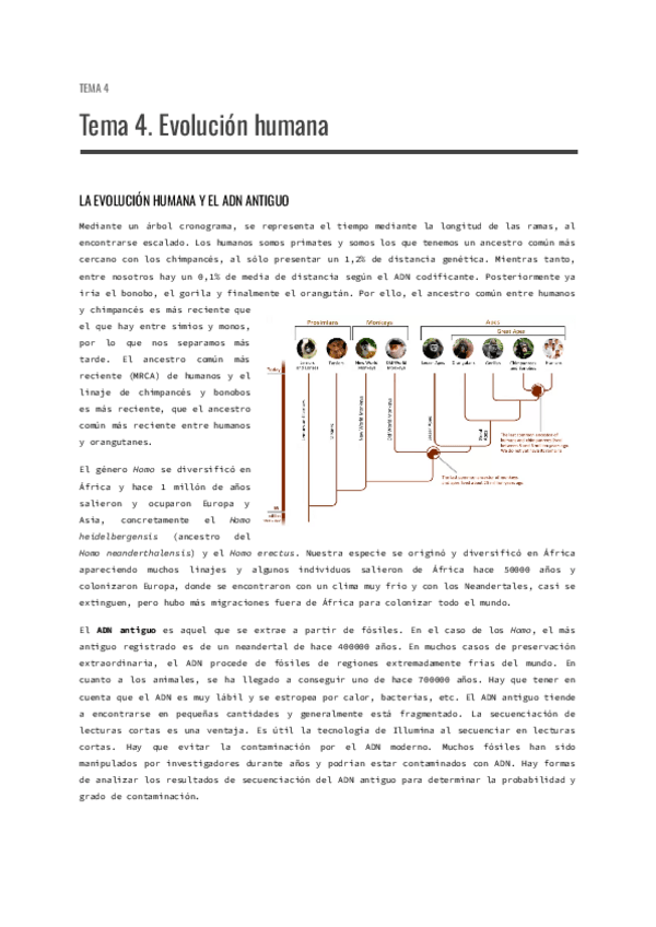 Miniatura del documento Tema-4.-Evolucion-humana.pdf