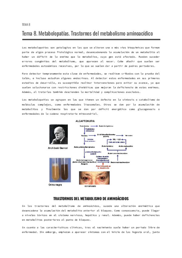 Miniatura del documento Tema-8.-Metabolopatias.-Trastornos-del-metabolismo-aminoacidico.pdf