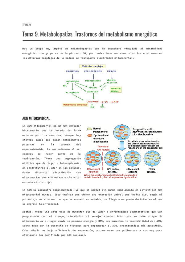 Miniatura del documento Tema-9.-Metabolopatias.-Trastornos-del-metabolismo-energetico.pdf
