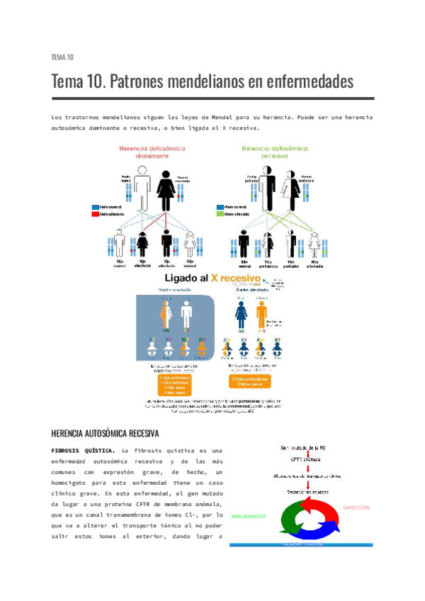 Miniatura del documento Tema-10.-Patrones-mendelianos-en-enfermedades.pdf