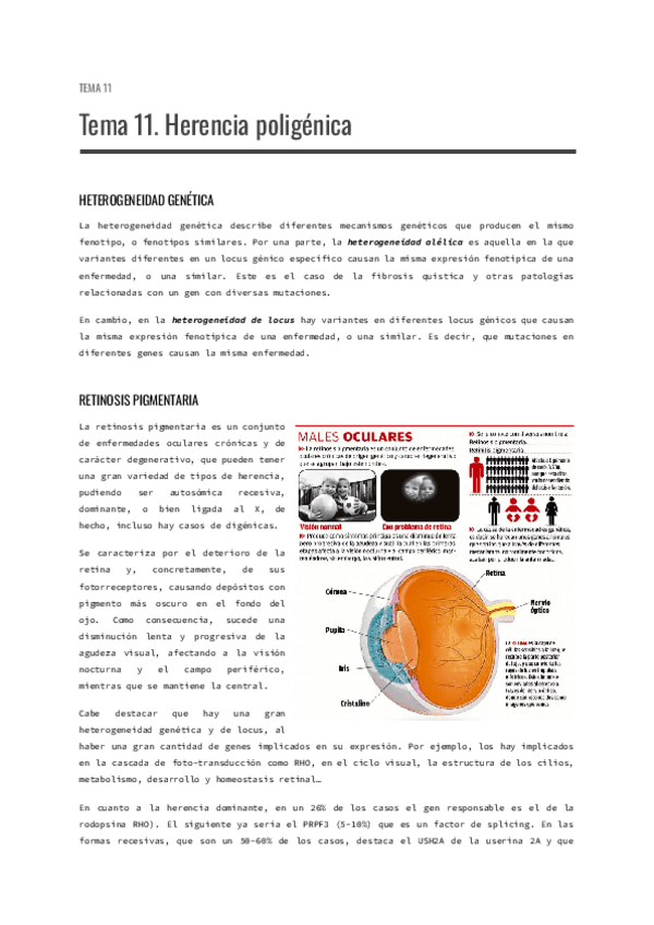 Miniatura del documento Tema-11.-Herencia-poligenica.pdf