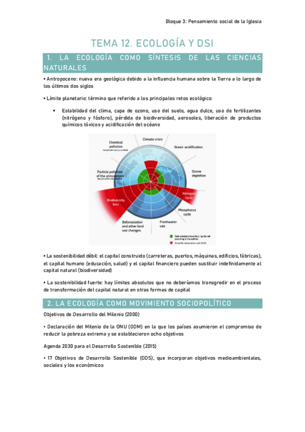 Miniatura del documento Tema-12.-Ecologia-y-DSI.pdf