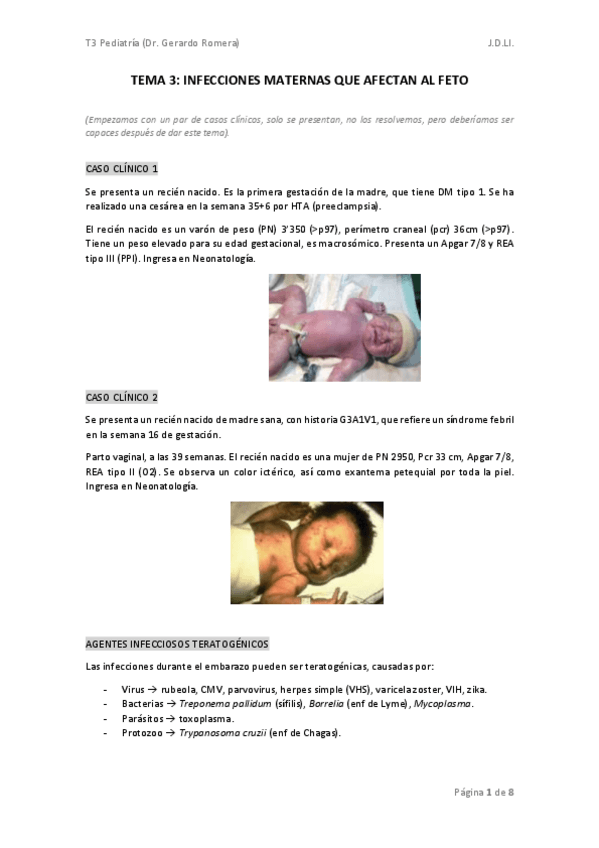 Miniatura del documento TEMA-3.-INFECCIONES-MATERNAS.pdf