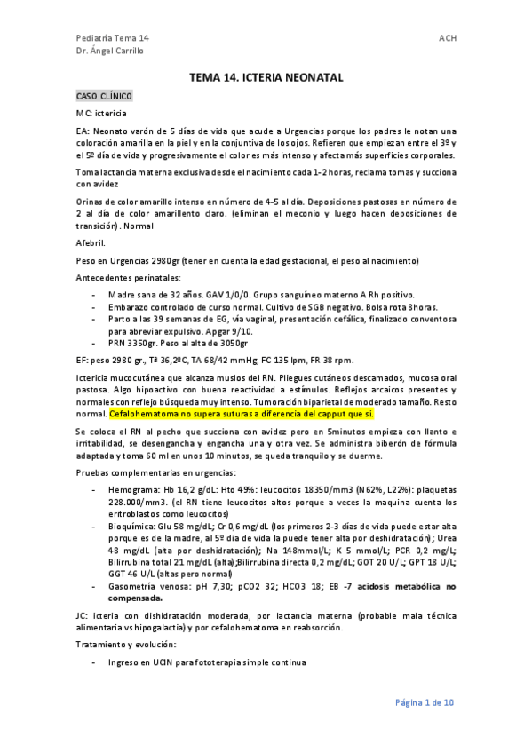 Miniatura del documento TEMA-14.-ICTERICIA-NEONATAL.pdf