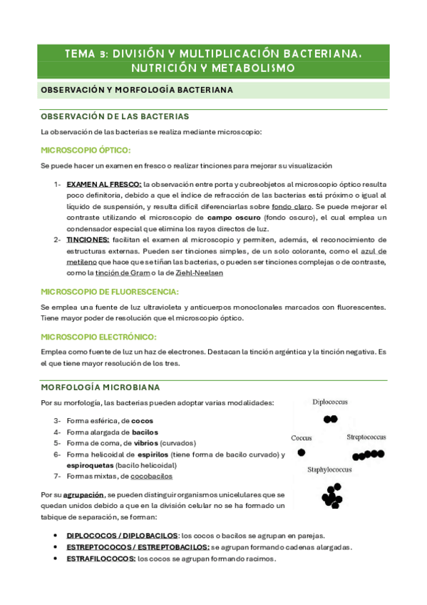 Miniatura del documento TEMA-3.pdf