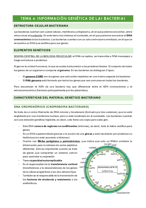 Miniatura del documento Tema-4.pdf