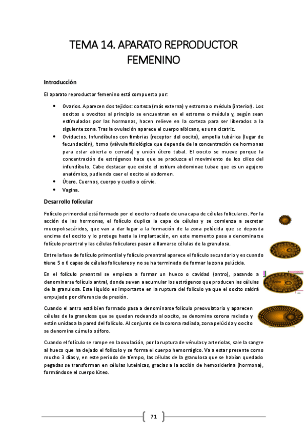 Miniatura del documento TEMA-14.pdf