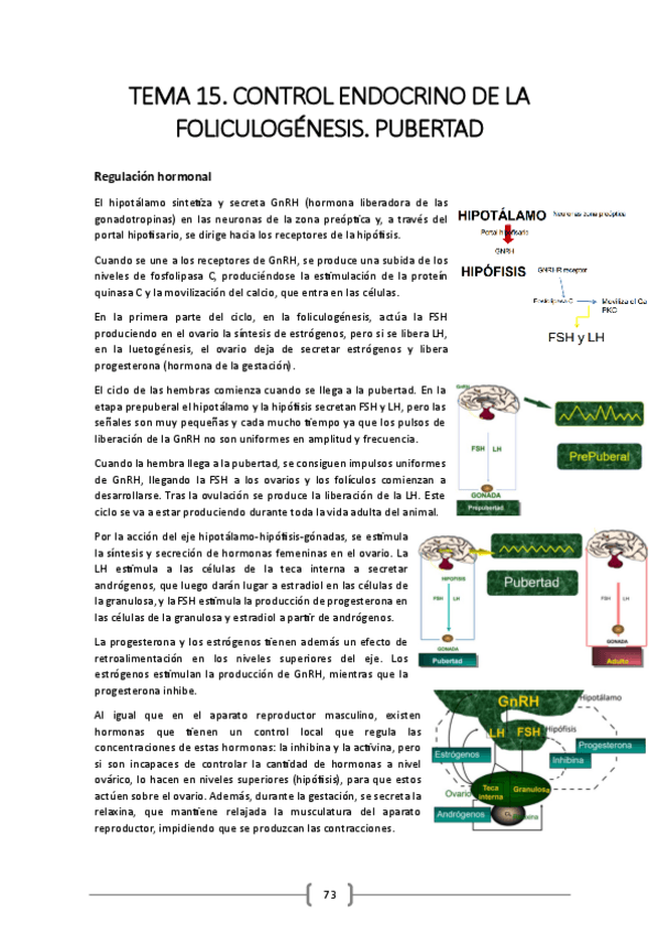 Miniatura del documento TEMA-15.pdf