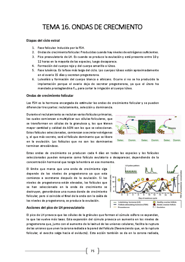 Miniatura del documento TEMA-16.pdf