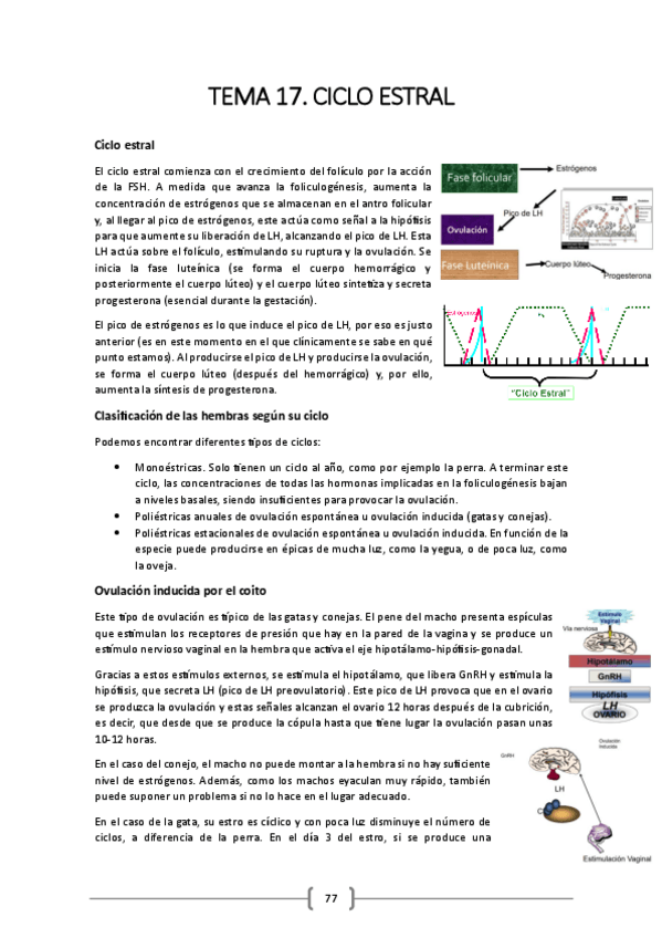 Miniatura del documento TEMA-17.pdf