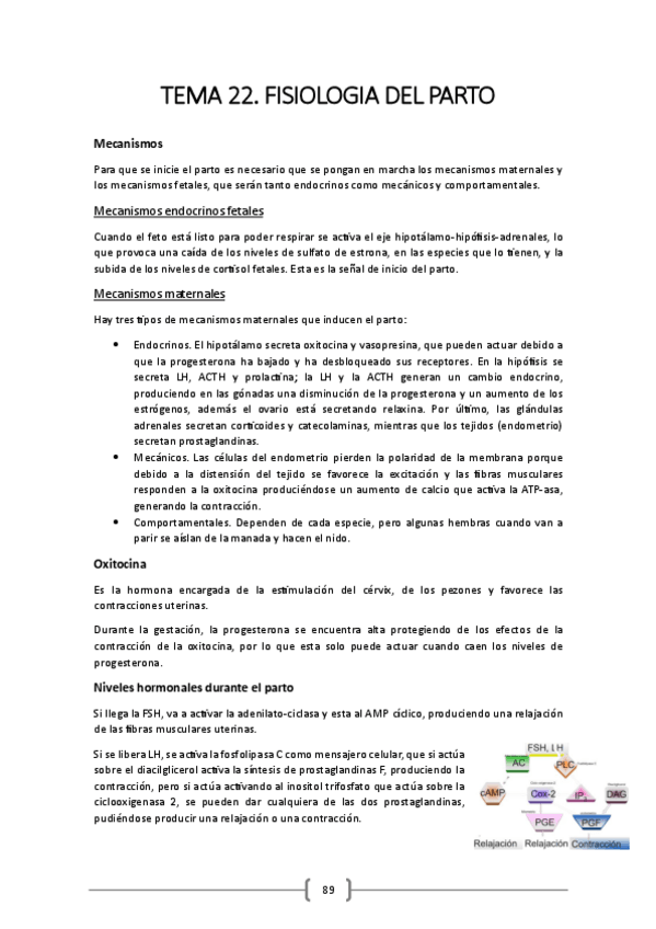 Miniatura del documento TEMA-22.pdf