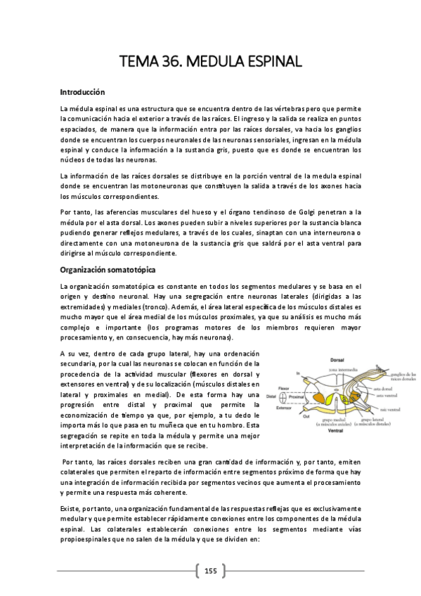 Miniatura del documento TEMA-36.pdf