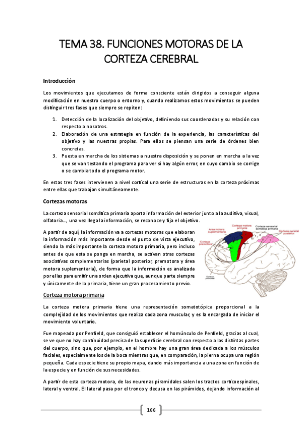 Miniatura del documento TEMA-38.pdf