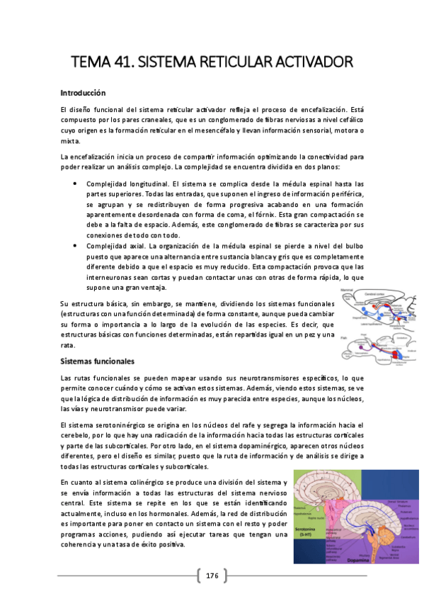Miniatura del documento TEMA-41.pdf