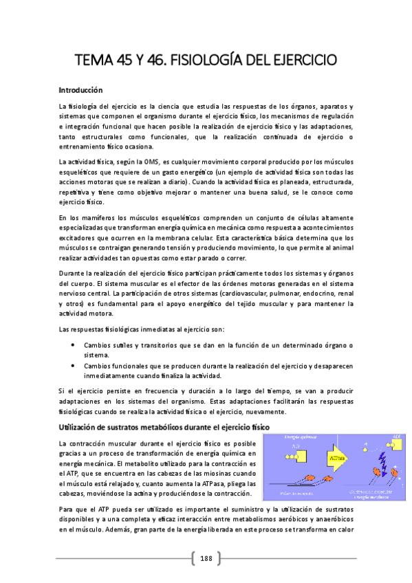 Miniatura del documento TEMA-45-y-46.pdf