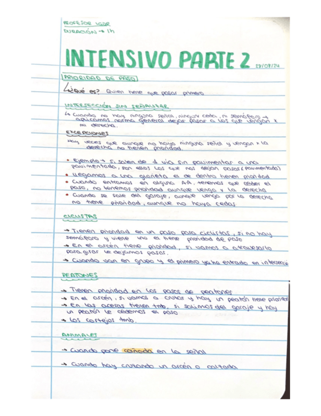 Miniatura del documento TEORICO-COCHE-INTENSIVO-IGOR-PARTE-2.pdf